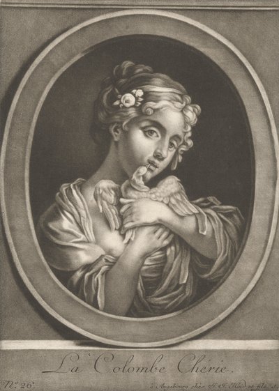 愛しい鳩 作： Johann Jacobus Haid