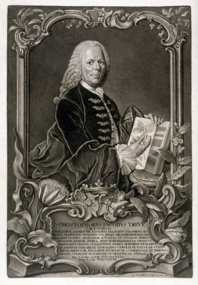 CJ Trew、植物学者、パブ。 c.1768 作： Johann Jakob Haid