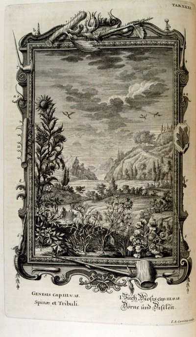 スイスの学者による「Physica Sacra」の銅版画。 ヨハン・ヤコブ・ショイツァー 作： Johann Jakob Scheuchzer