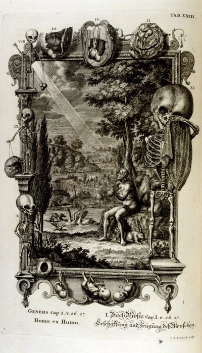 スイスの学者による「Physica Sacra」の銅版画。 ヨハン・ヤコブ・ショイツァー 作： Johann Jakob Scheuchzer
