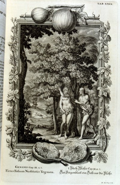 スイスの学者による「Physica Sacra」の銅版画。 ヨハン・ヤコブ・ショイツァー 作： Johann Jakob Scheuchzer