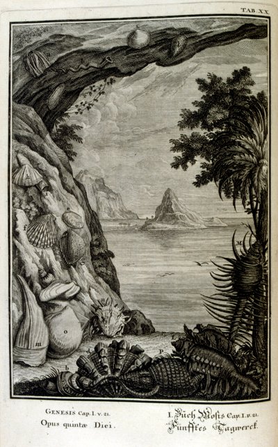 スイスの学者による「Physica Sacra」の銅版画。 ヨハン・ヤコブ・ショイツァー 作： Johann Jakob Scheuchzer