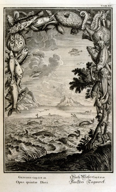スイスの学者による「Physica Sacra」の銅版画。 ヨハン・ヤコブ・ショイツァー 作： Johann Jakob Scheuchzer