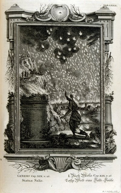 ロトの妻が塩の柱に変わる 作： Johann Jakob Scheuchzer