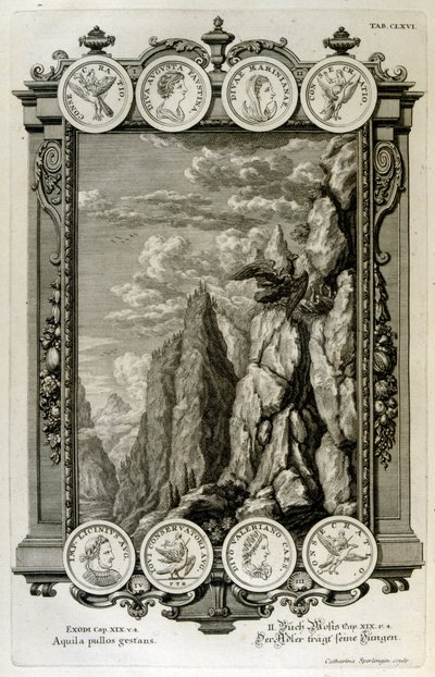 ワシとして象徴されるゼウス 作： Johann Jakob Scheuchzer