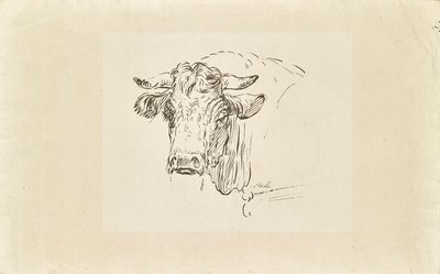 ブルヘッド 作： Johann Josef Schindler