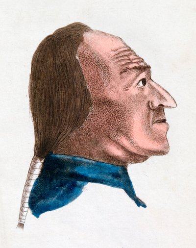 即効性のある人の顔の特徴、1808 作： Johann Kaspar Lavater