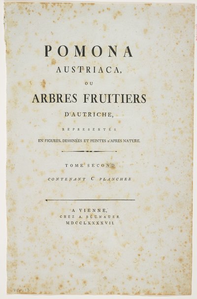 「Pomona Austriaca、またはオーストリアの果樹」のタイトルページ、1787-96（印刷） 作： Johann Kraft