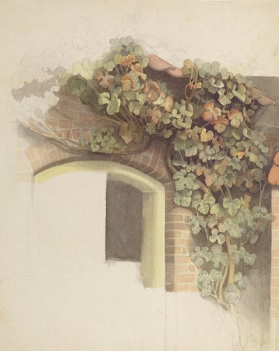 不明な画像 作： Johann Martin Gensler