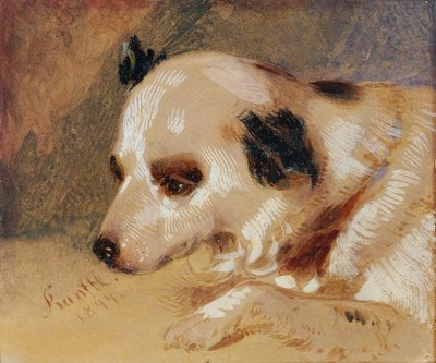 犬の頭 作： Johann Matthias Ranftl
