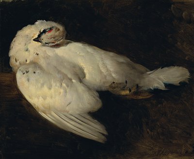 死んだライチョウ 作： Johann Matthias Ranftl