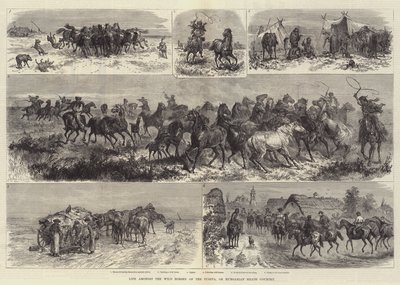 プスタの野生の馬、またはハンガリーのヒース条約の中での生活 作： Johann Nepomuk Schonberg