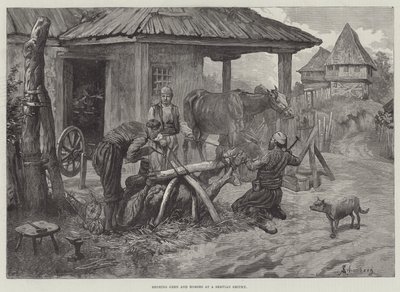 セルビア人の鍛冶場での雄牛と馬の靴 作： Johann Nepomuk Schonberg