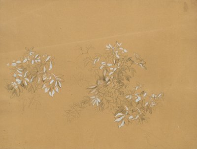 植え込み 作： Johann Peter Krafft