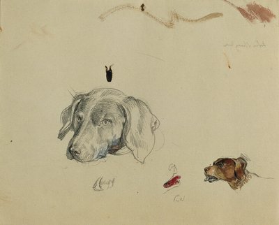 犬の研究 作： Johann Peter Krafft