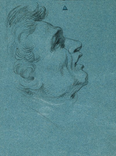 ホーフブルクの壁画のための頭の習作 作： Johann Peter Krafft