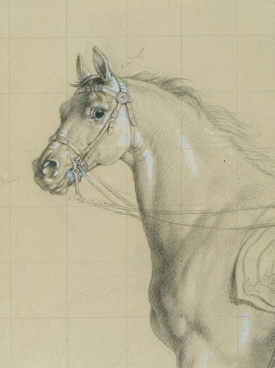 「アスペルンの戦いで杖を持ったカール大公」の馬術研究 作： Johann Peter Krafft
