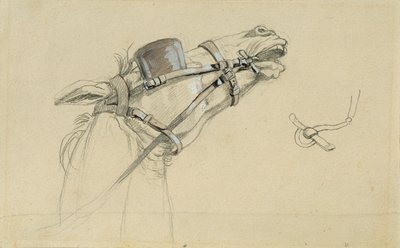 「フランツ皇帝のプレスブルグからの帰還」の馬の頭の習作 作： Johann Peter Krafft