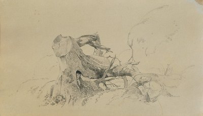 根系、倒木 作： Johann Peter Krafft