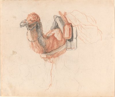 キャメル 作： Johann Rudolph Schellenberg