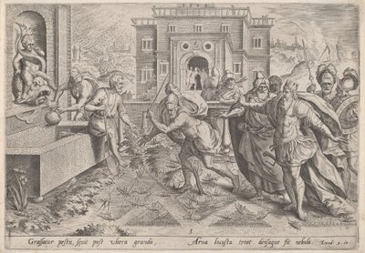 イナゴの疫病、1585年頃。 作： Johann Sadeler I