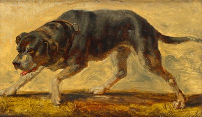 犬の研究 作： Johann  Till der Jüngere