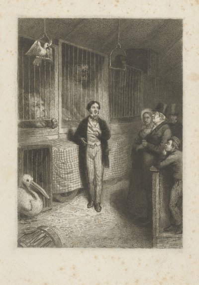 動物の観察 作： Johann Wilhelm Kaiser (I)