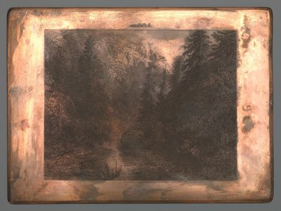 木々の間の山川 作： Johannes Arnoldus Boland