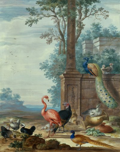 孔雀、キジ、フラミンゴ、その他の鶏がいるイタリア風の風景 (ガッシュ) 作： Johannes Bronckhorst