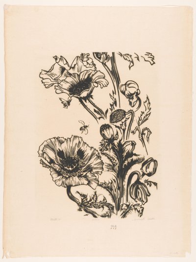 Studie papavers (オブジェクトの元のタイトル) 作： Johannes Frederik Engelbert ten Klooster (signed by artist)