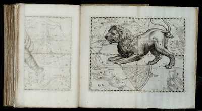しし座（星座）、"Prodromus astronomiae "より 作： Johannes Hevelius