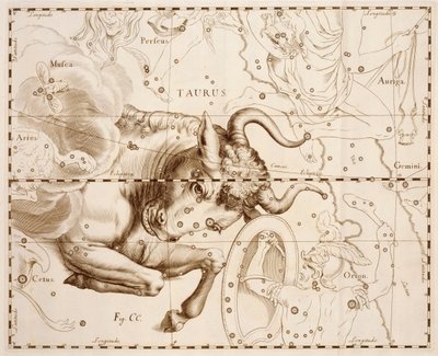 牡牛座（Johann Hevelius（1611-1687）著『Firmamentum Sobiescianum sive Uranographia』（グダニスクで印刷された完全な星のカタログ）からの版画 作： Johannes Hevelius