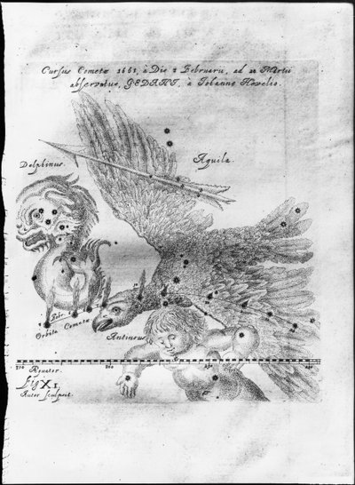 ヨハネスヘヴェリウスが1661年2月3日から3月28日までグダニスクで発見、観測した彗星 作： Johannes Hevelius