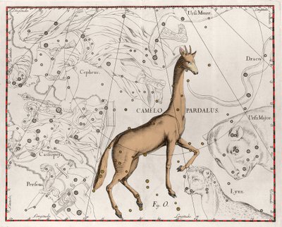 きりん座 図版はJohannes Hevelius（1611-1687）の "Firmamentum Sobiescanum sive Uranographia "から引用。 作： Johannes Hevelius
