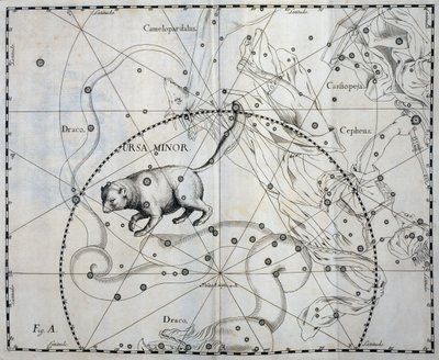 Ursa Minor, Boreal constellation of Ursa Minor, engraving from celestial atlas Firmamentum Sobiescianum sive Uronographia, by Johann Hevelius (1611-1687), Gdansk   1464566   ja       japanese Successfully Translated  Original: Don Quixote and sancho Panza  作： Johannes Hevelius