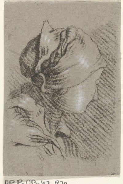 女性バスト 作： Johannes Janson (possibly)