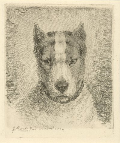 首輪付き犬の頭 作： Johannes Mock