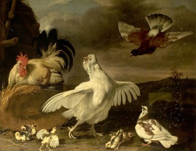 鶏と鳩と鶏と鶏 作： Johannes Spruyt