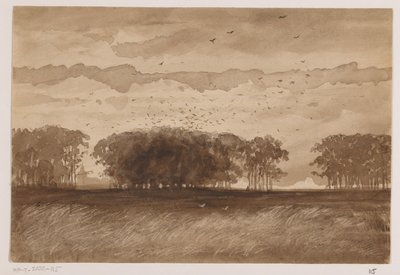 北ブラバント州のルーカリー 作： Johannes Tavenraat (signed by artist)