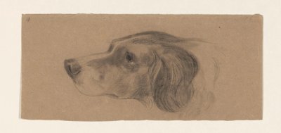 左に犬の頭 作： Johannes Tavenraat