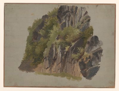 岩と植生 作： Johannes Tavenraat