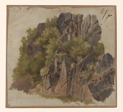 岩と植生 作： Johannes Tavenraat