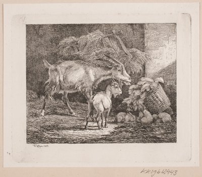 納屋のヤギ、子供、ウサギ 作： Johannes Wilhelm Zillen