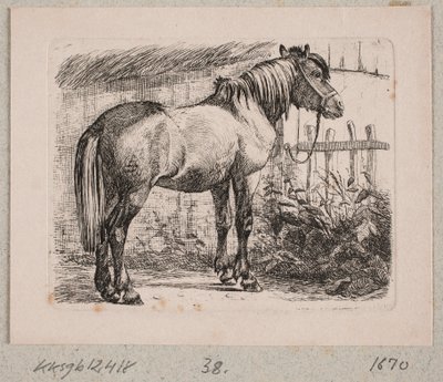 ホルター付きの馬 作： Johannes Wilhelm Zillen