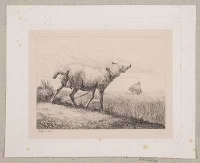 羊の鳴き声 作： Johannes Wilhelm Zillen