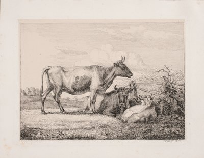 野原の牛 作： Johannes Wilhelm Zillen