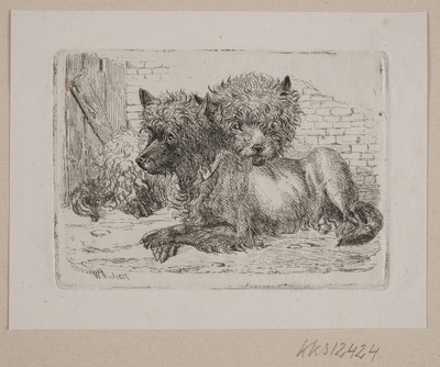 横になっている 2 匹の犬 作： Johannes Wilhelm Zillen