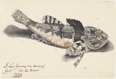 海底道路 作： Johannes le Francq van Berkhey