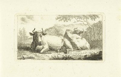 横になっている 2 頭の牛 作： Johannes van Cuylenburgh
