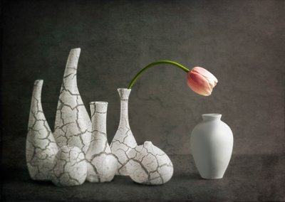 ピンクのチューリップが入ったひび割れた花瓶 作： John-Mei Zhong